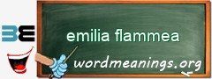 WordMeaning blackboard for emilia flammea